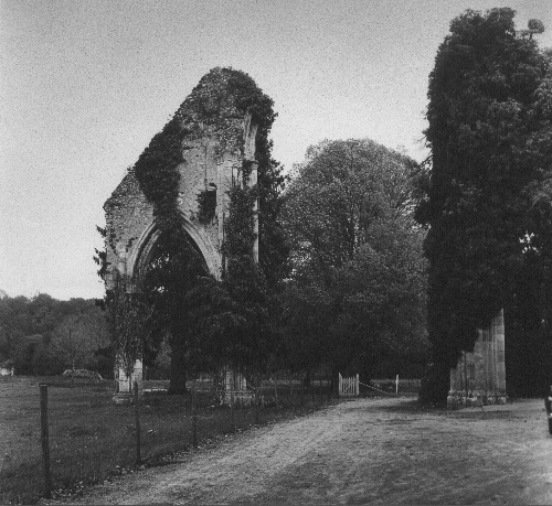 Ruïne van de abdijkerk