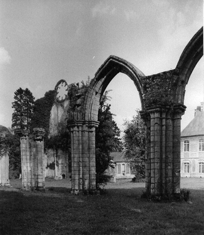 Ruïne van de abdijkerk: noordelijke arcade van het middenschip vanuit het noorden