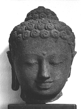 Boeddha-kop