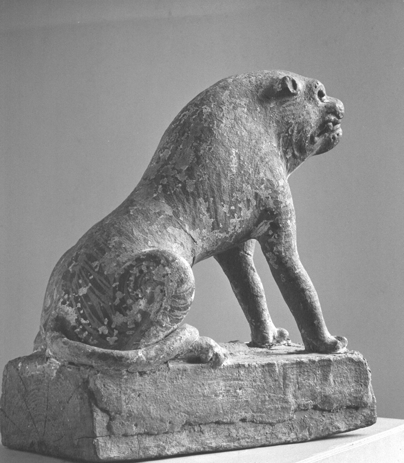 Tijger