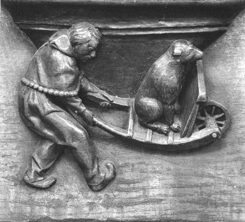 Koorbanken, detail: misericorde met man die kruiwagen met hond voortduwt (omgekeerde wereld)