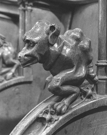 Koorbanken, detail: knop met fantasiedier