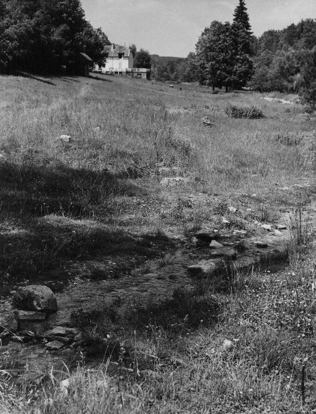 Klein beekje: de eerste 50 meter van de Seine