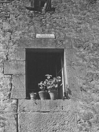 Muur: planten in een raam