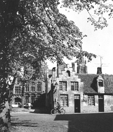 Huizen aan de Wolplaats