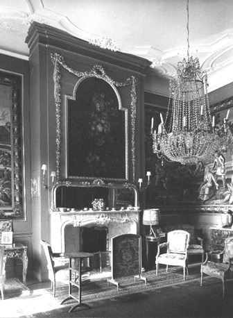 Woonkamer met open haard