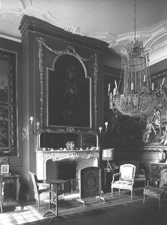 Woonkamer met open haard