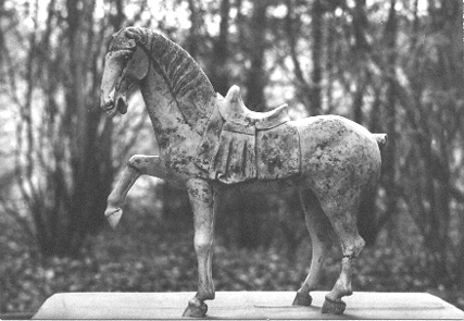 Paard (met zadel)