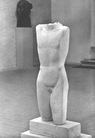 Torso