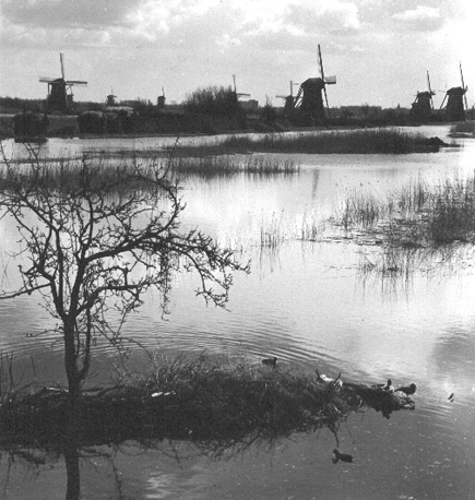 Molens aan het water