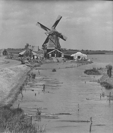 Houtzagerij aan het water