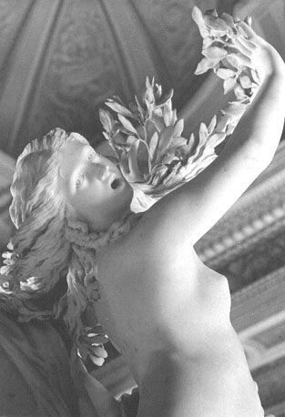 Apollo en Daphne (Daphne verandert in een laurierboom, terwijl ze vlucht voor Apollo), detail: bovenlichaam van Daphne