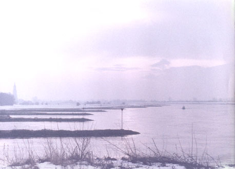 Rivierlandschap: Rijn; op de achtergrond: toren van de Sint Cunerakerk