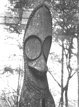 Grote spleet-gong (trom)