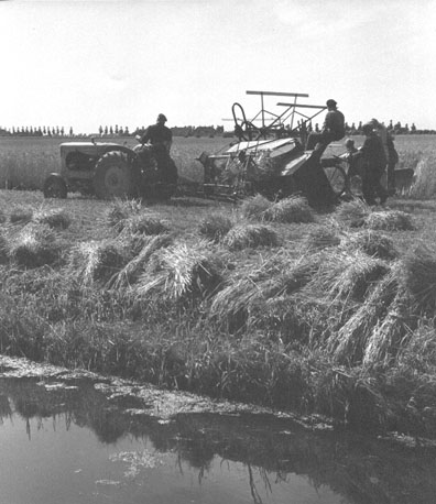Boeren aan het werk