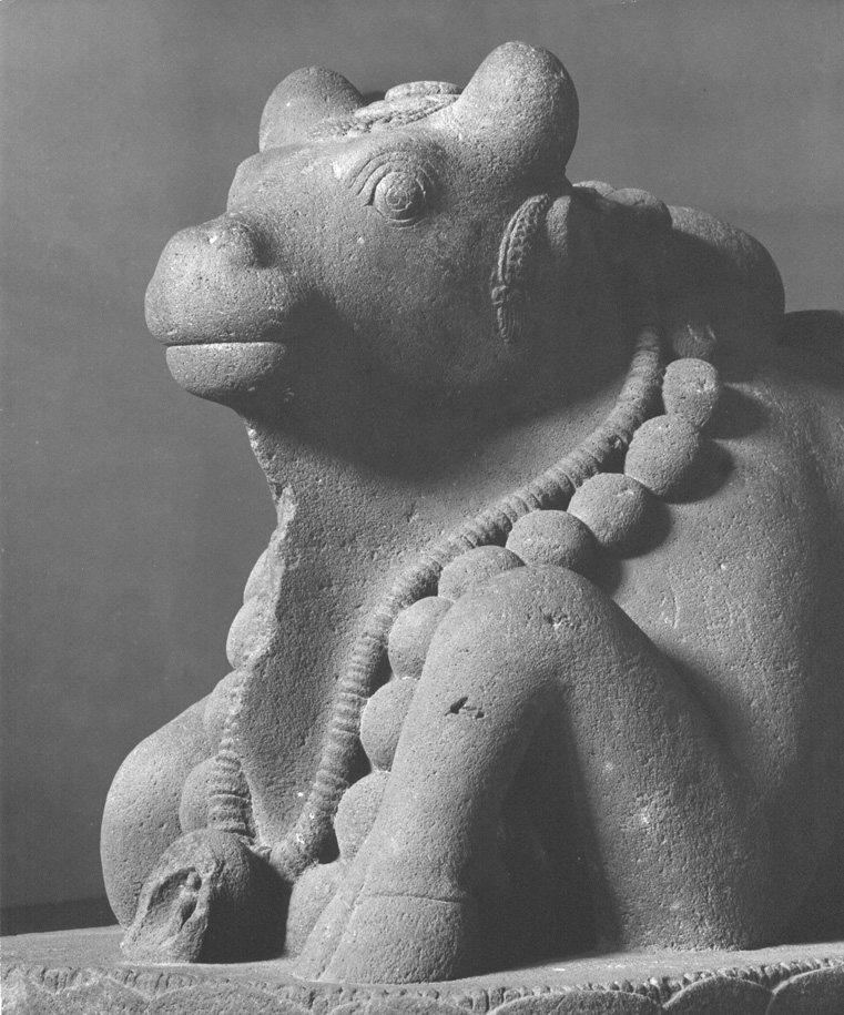 Liggende buffel, versierd met kralensnoer:Nandi, rijdier van god Shiva; detail: voorzijde