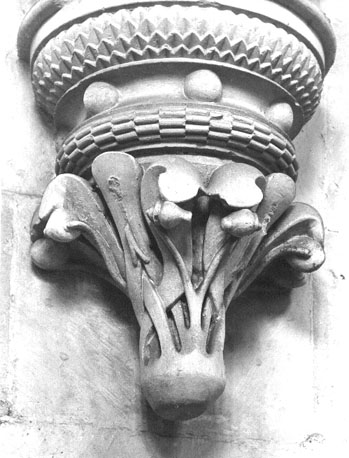 Console in koor