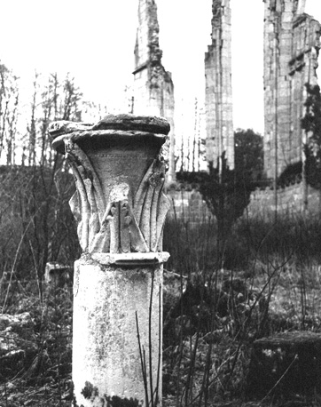 Overblijfsel van kerk: kapiteel