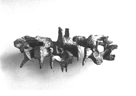 Reliëf: "Danse macabre"