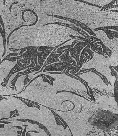 Mozaïekvloer in thermen van de Zeven Wijzen, detail