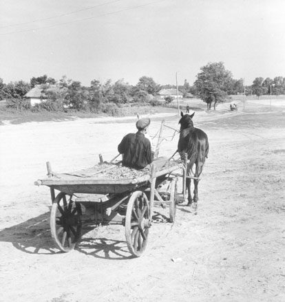 Landweg met paard en wagen en voerman
