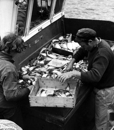 Vissers op een vissersboot