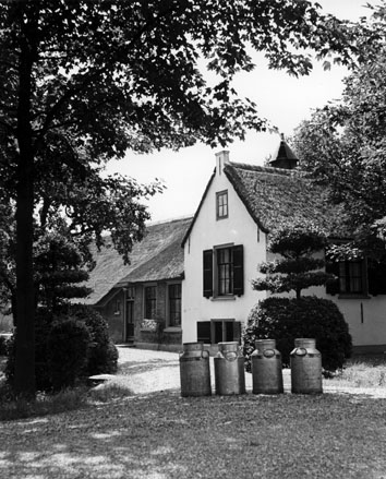 Boerderij, vier melkbussen op de voorgrond