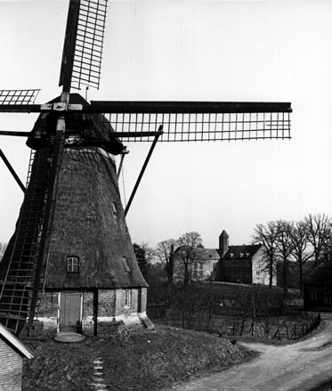 Molen, op de achtergrond het kasteel Waardenburg