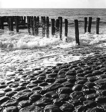 Zeekust te Walcheren