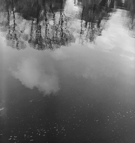 Weerspiegelingen van wolken en bomen in het water
