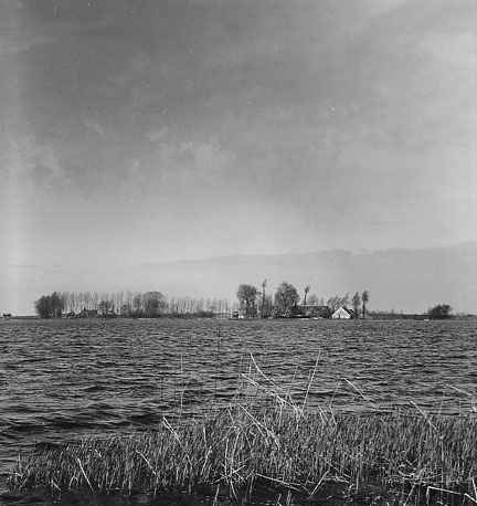 Landschap: water (rivier / meer?), bomen en huizen aan de horizon