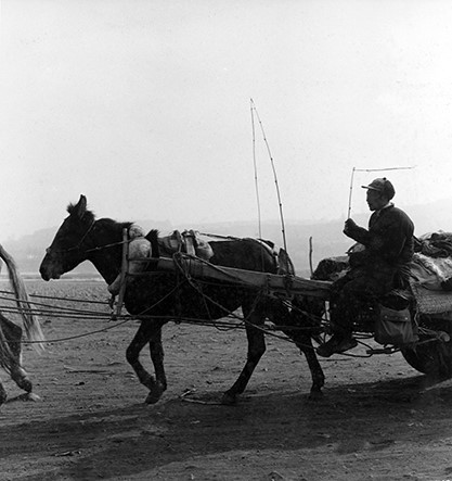 Man met paard en wagen