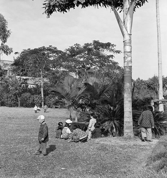 Kinderen spelend in het park