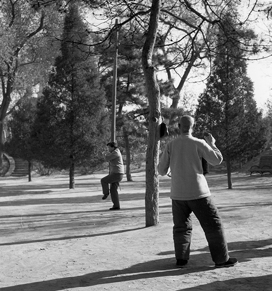 Gymnastiek oefeningen in het Shung-san park