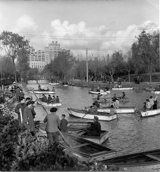 Roeifestijn in het park