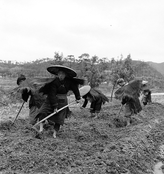 Landarbeiders