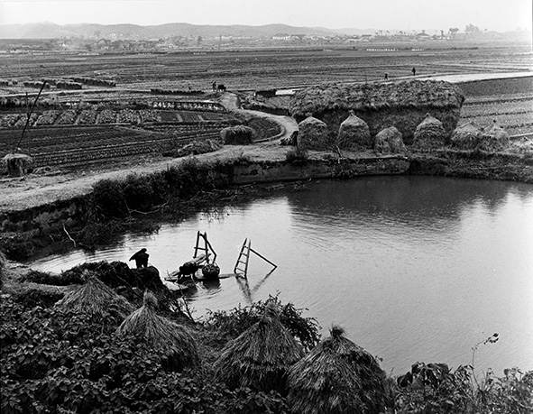 Landbouwproject