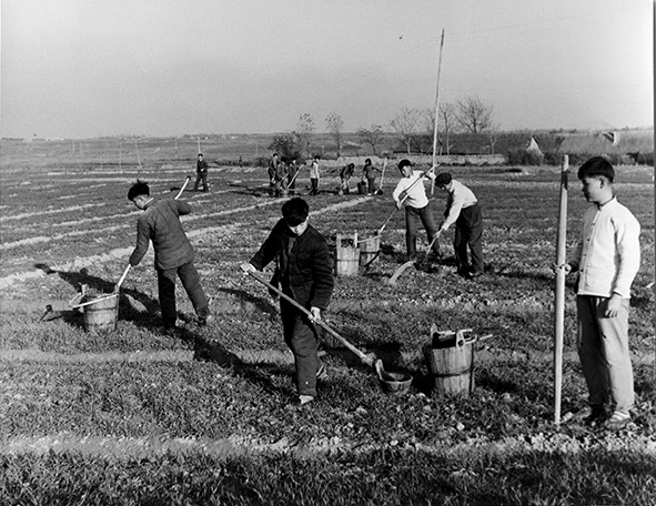 Landbouwproject